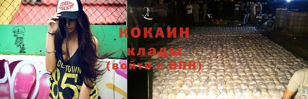 хмурый Аркадак